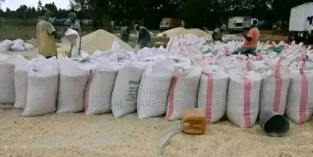 Dry Maize for Sale in Kenya - main view