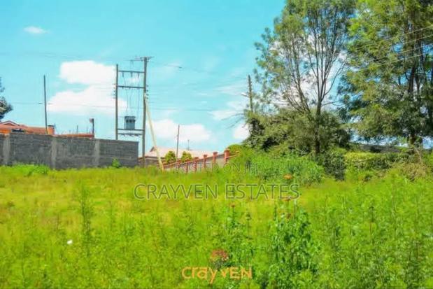 Nyeri Bliss - thumbnail 4