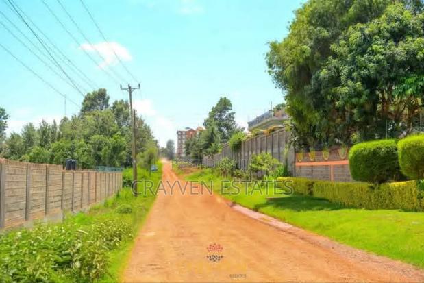 Nyeri Bliss - thumbnail 6