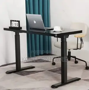 Office Desk : 1.6m Adjustable Electric Standing Desk,