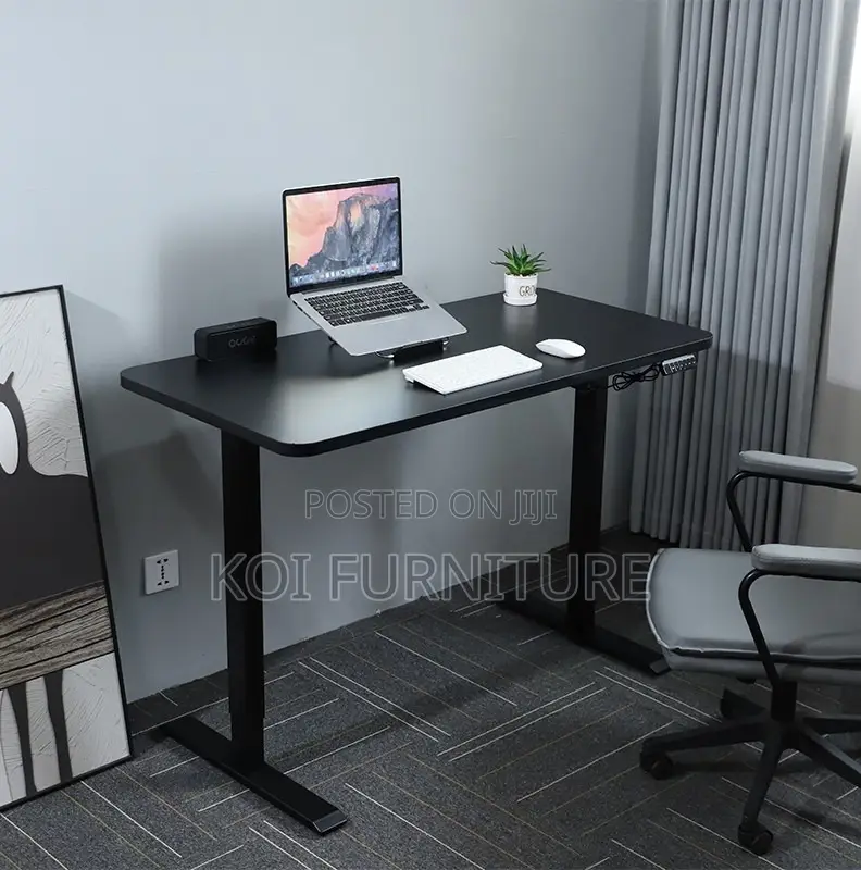 Office Desk : 1.6m Adjustable Electric Standing Desk,
