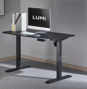 Office Desk : 1.6m Adjustable Electric Standing Desk,