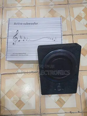 801 8 Inch Underseat Subwoofer