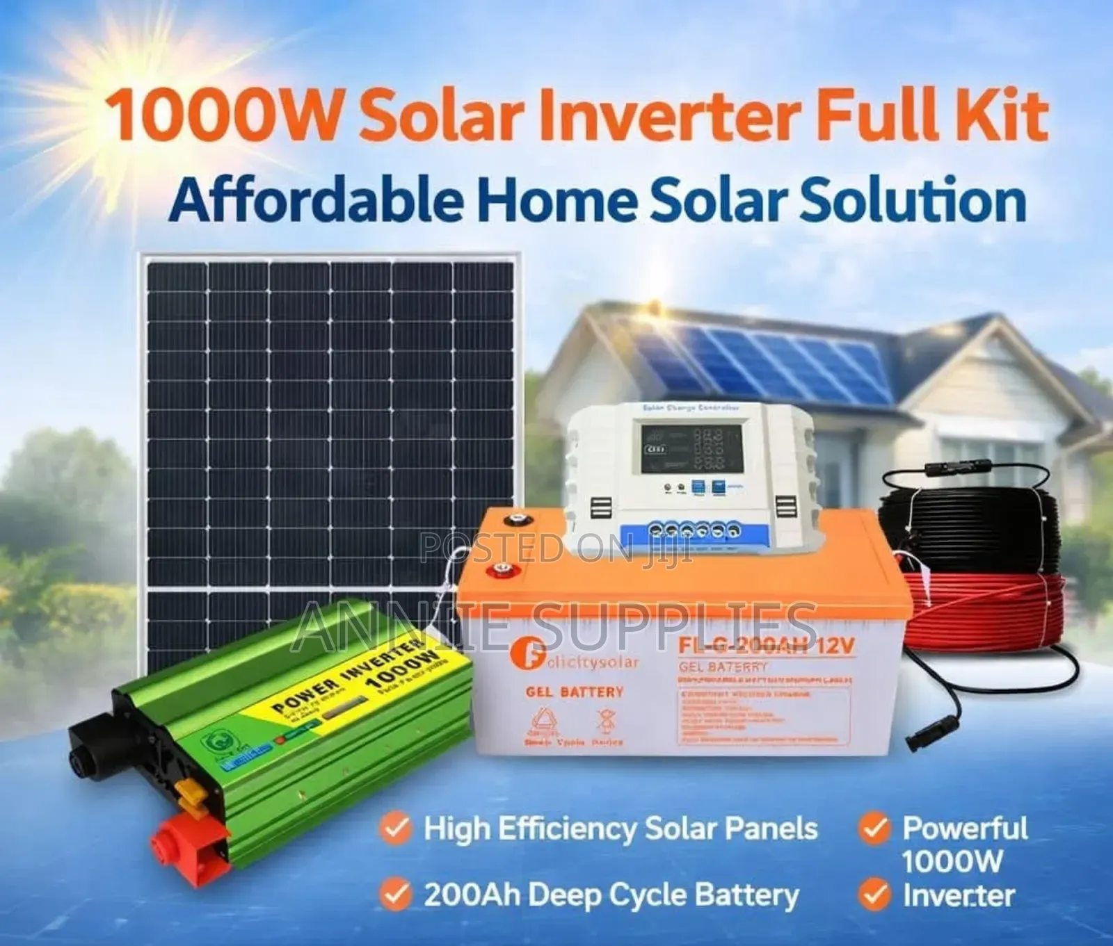 1000w Solar Inverter Full System