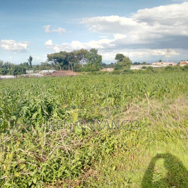 0.33ha Vacant Land for Sale in Njokerio, Njoro