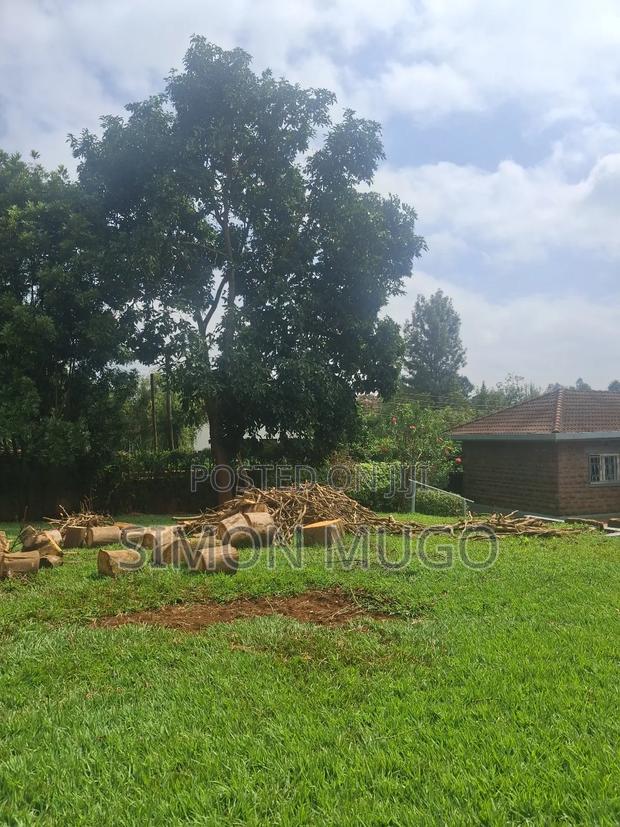 5bdrm Bungalow in Runda for rent - thumbnail 6