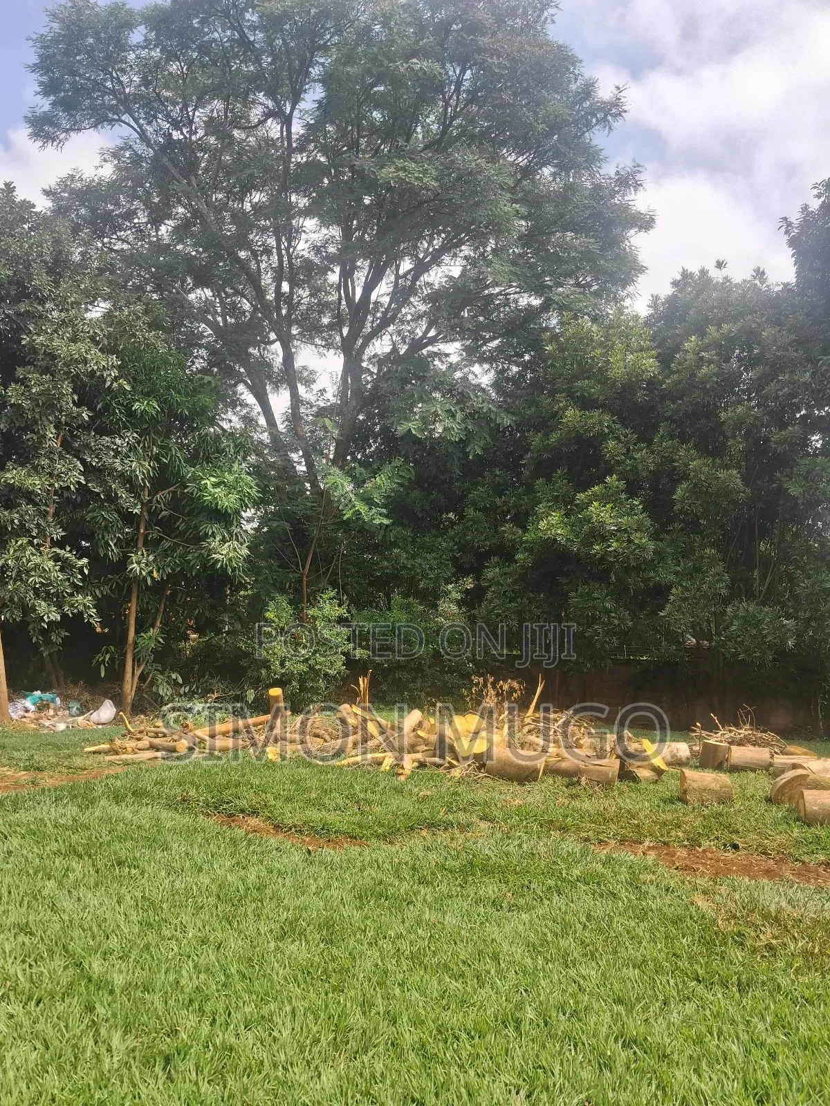 5bdrm Bungalow in Runda for rent