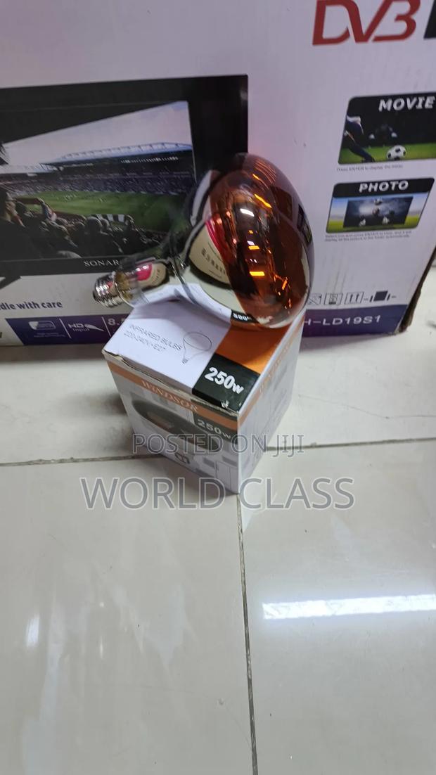 Best Quality Windsor Chicken Bulb