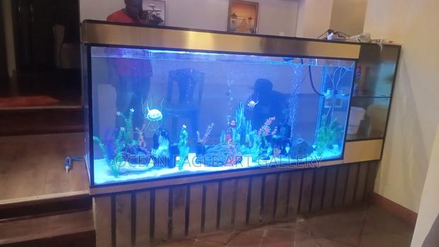 Ocean Eagle Aquariums - main view