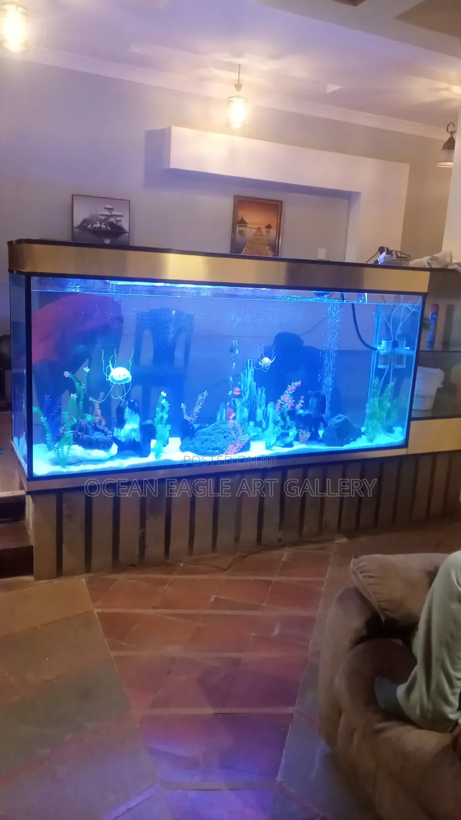 Ocean Eagle Aquariums