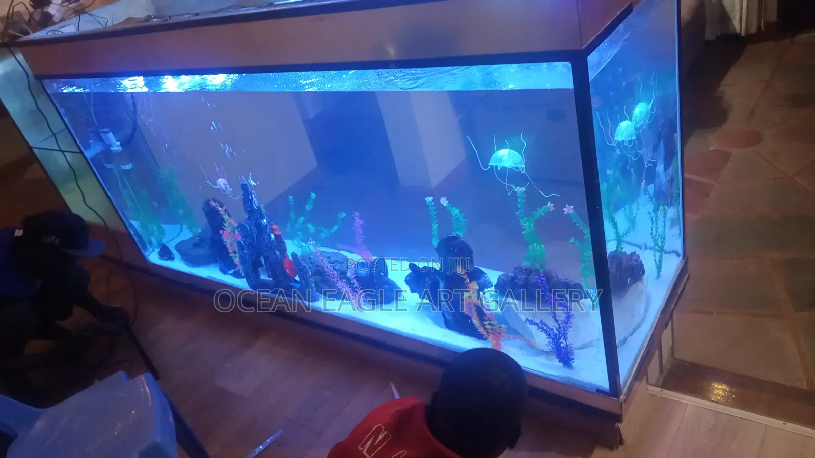 Ocean Eagle Aquariums