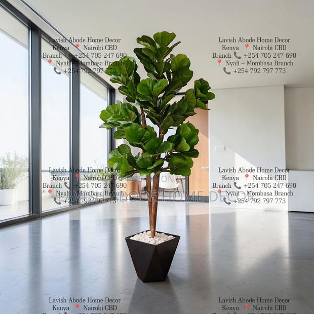 Artificial Potted Fiddle Plant in a Black Hexagon