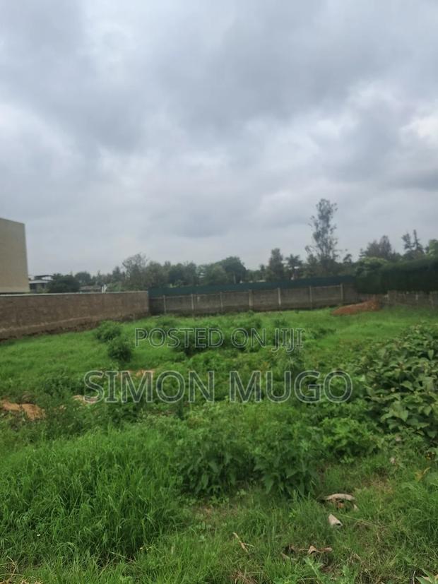 Runda Fully Serviced Well Drained Red Soil Residential 1/2 Acre - thumbnail 6