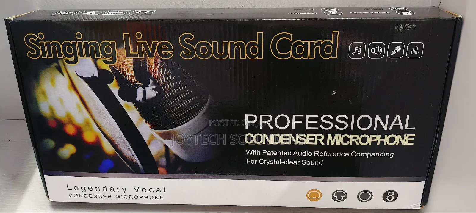 Professional Recording Music Condenser Mic.