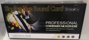 Professional Recording Music Condenser Mic.