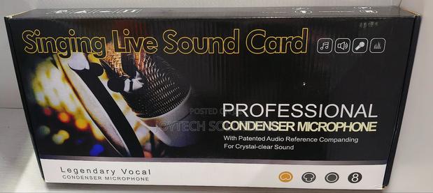 Professional Recording Music Condenser Mic. - thumbnail 2