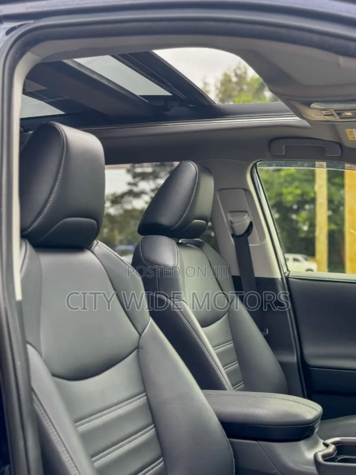 Toyota RAV4 Adventure 2019 Blue