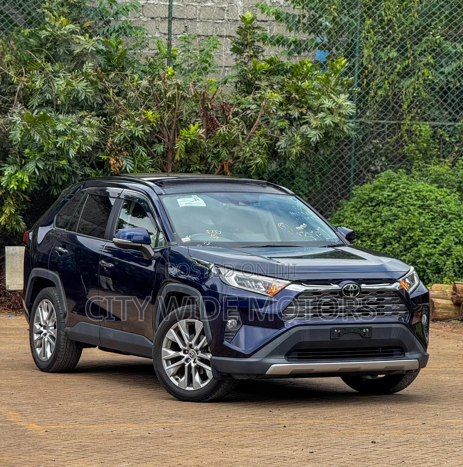 Toyota RAV4 Adventure 2019 Blue