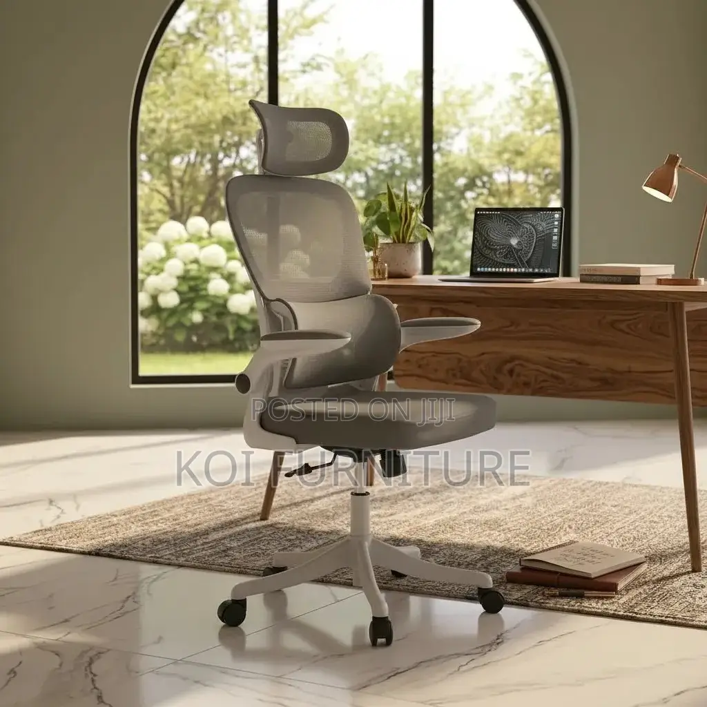 Office Chairs; Orthopedic Reclining Office Chairs
