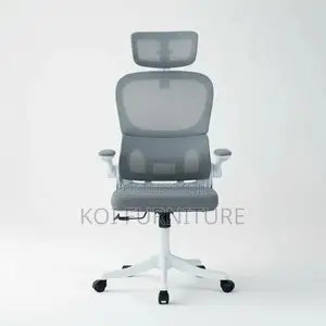 Office Chairs; Orthopedic Reclining Office Chairs