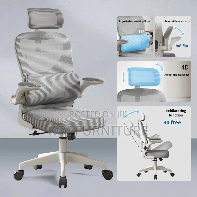 Office Chairs; Orthopedic Reclining Office Chairs