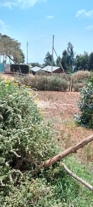 80 by 100 Prime Plot
