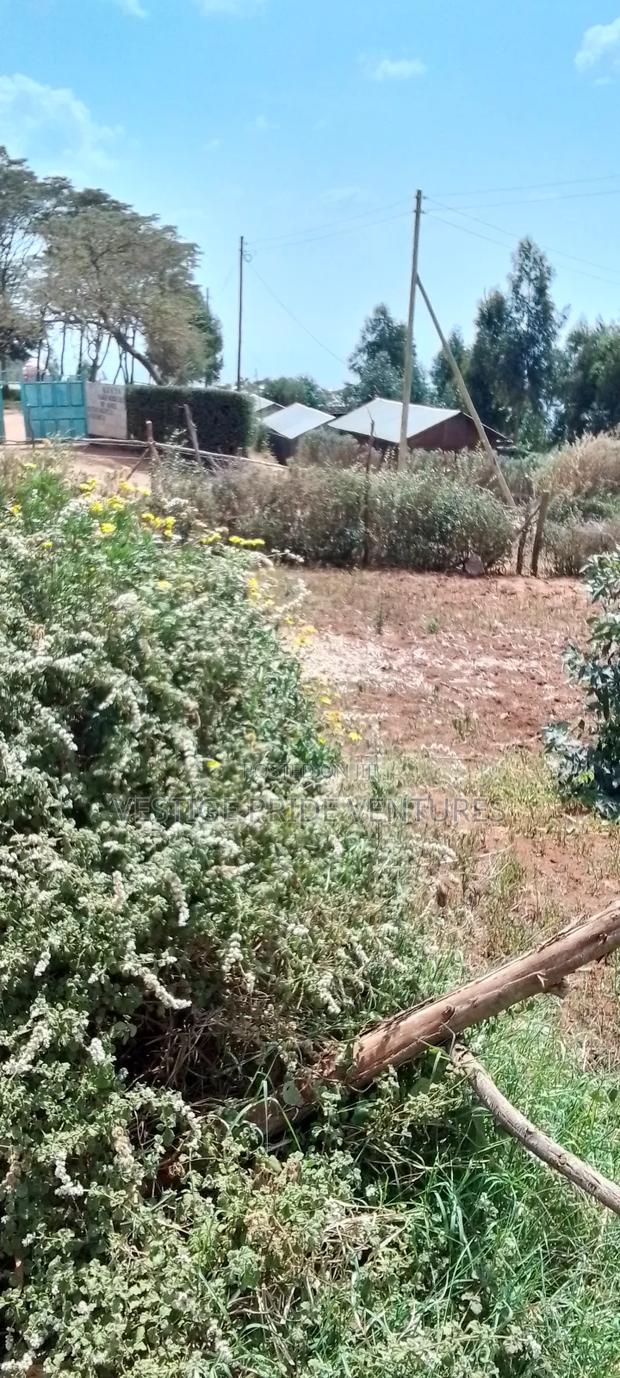 80 by 100 Prime Plot - thumbnail 3