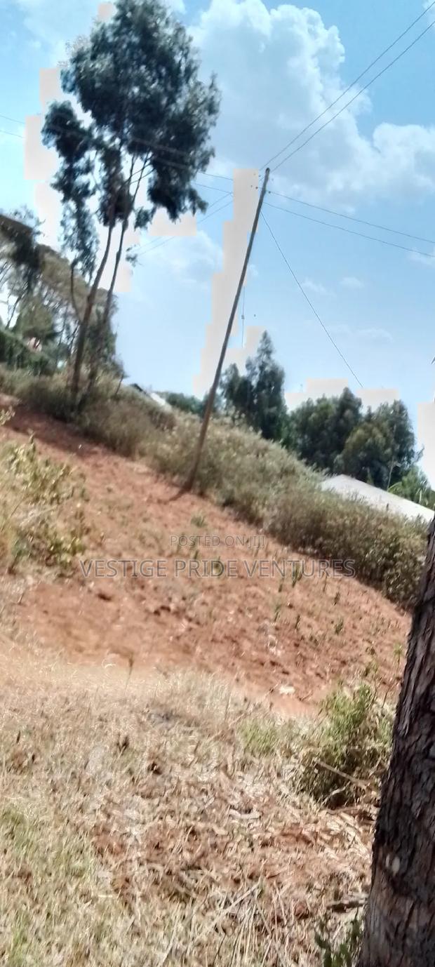 80 by 100 Prime Plot - thumbnail 5