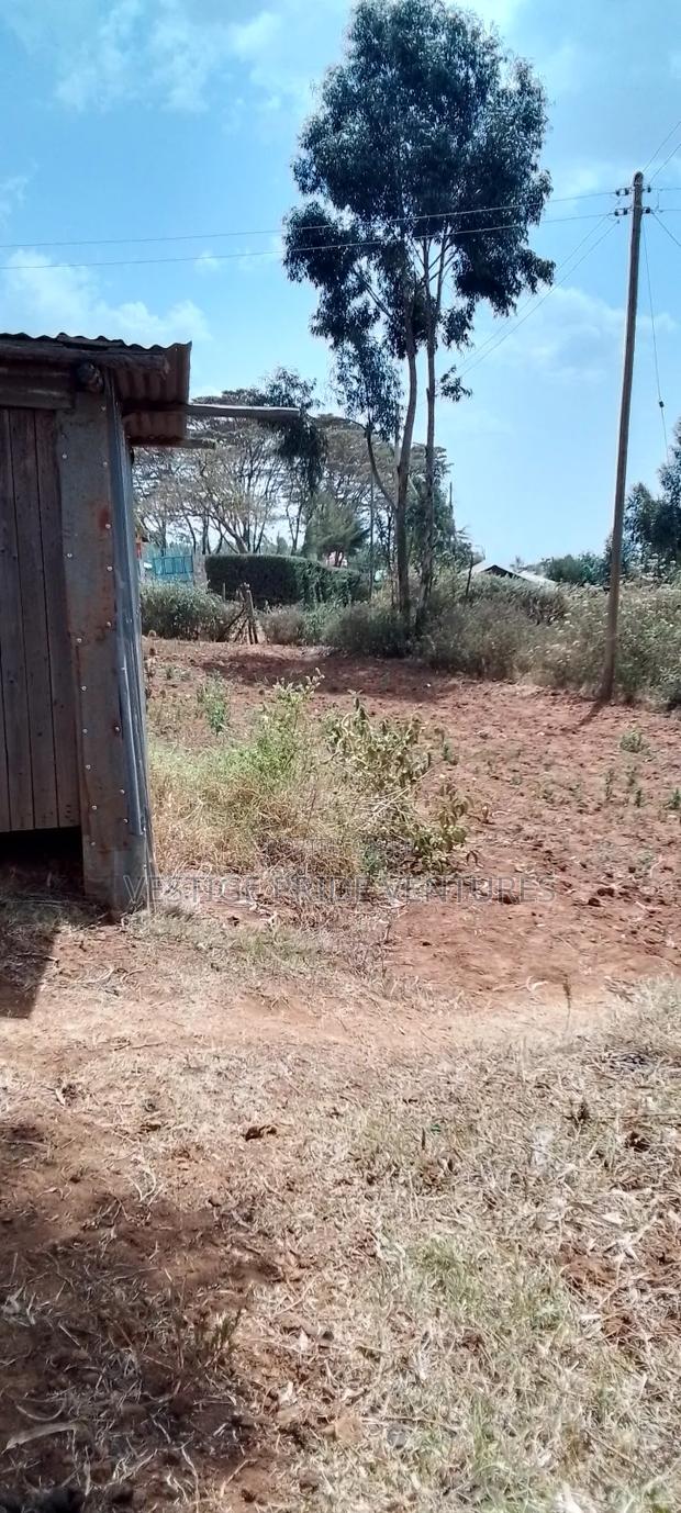 80 by 100 Prime Plot - thumbnail 6