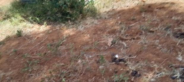 80 by 100 Prime Plot - thumbnail 7