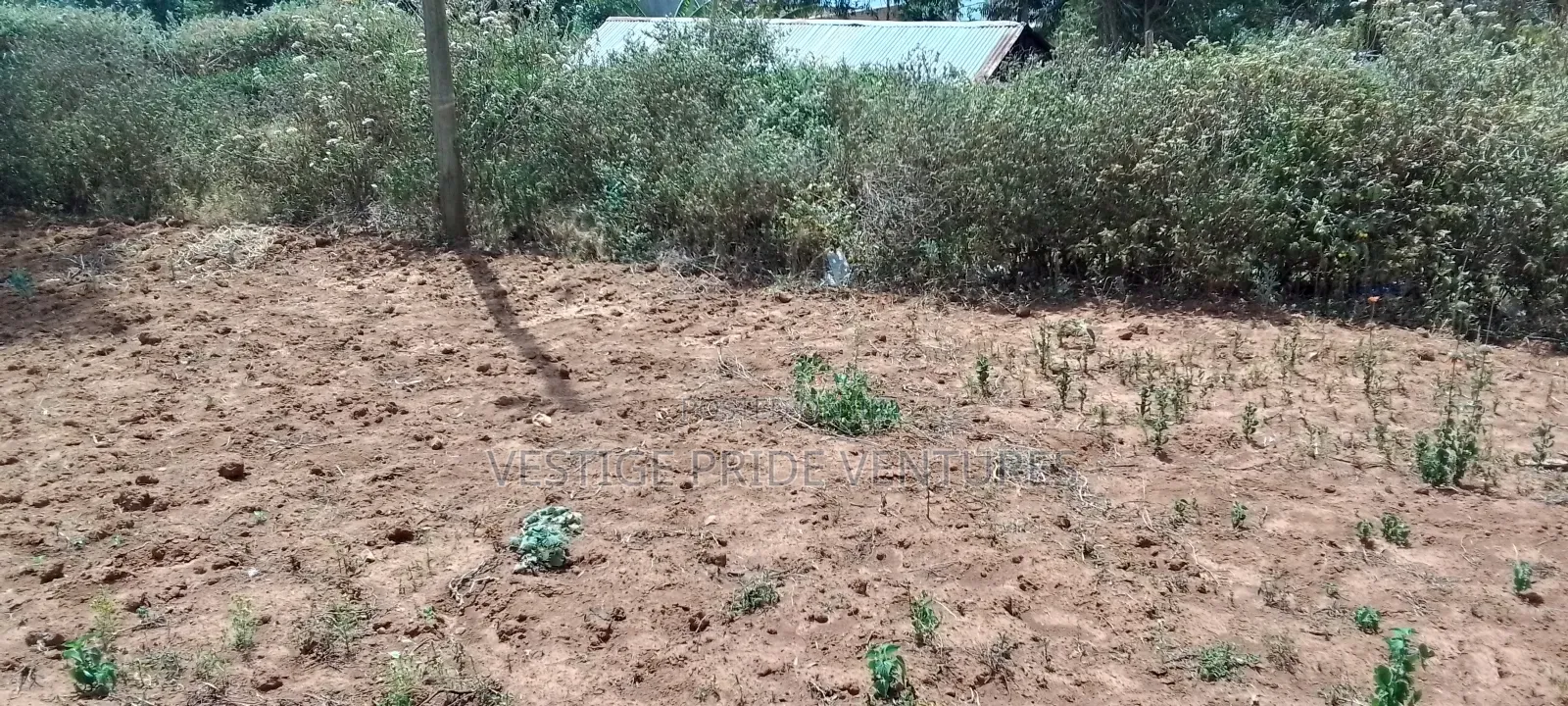 80 by 100 Prime Plot