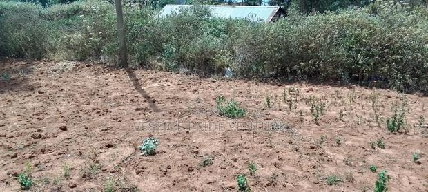 80 by 100 Prime Plot - thumbnail 8