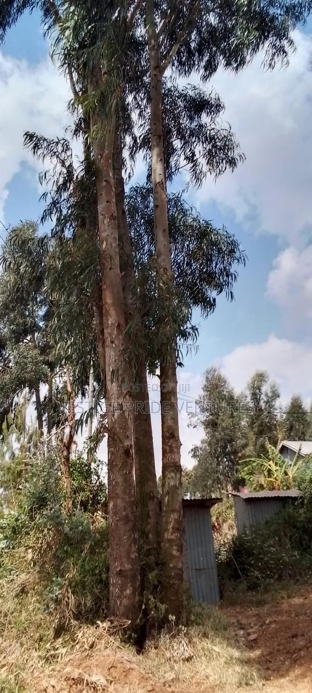 80 by 100 Prime Plot - thumbnail 10