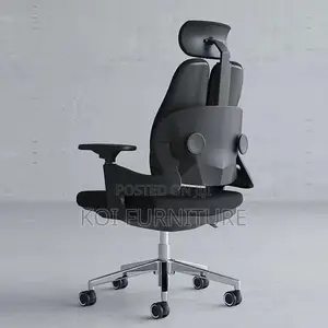 Office Chairs; Modern Orthopedic Chair With Dual Backrest
