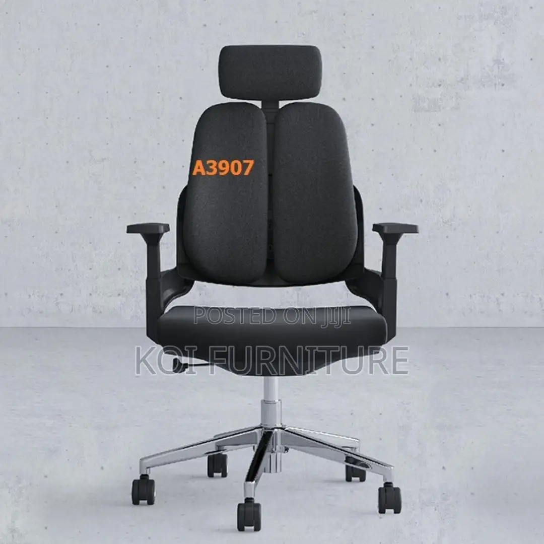 Office Chairs; Modern Orthopedic Chair With Dual Backrest