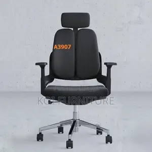 Office Chairs; Modern Orthopedic Chair With Dual Backrest