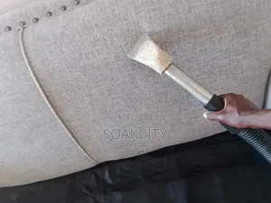 Sofa Cleaning