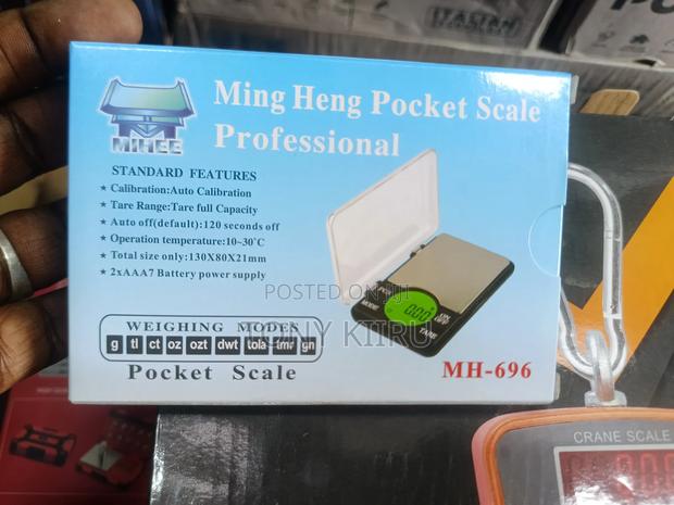 Professional Pocket Scale - main view