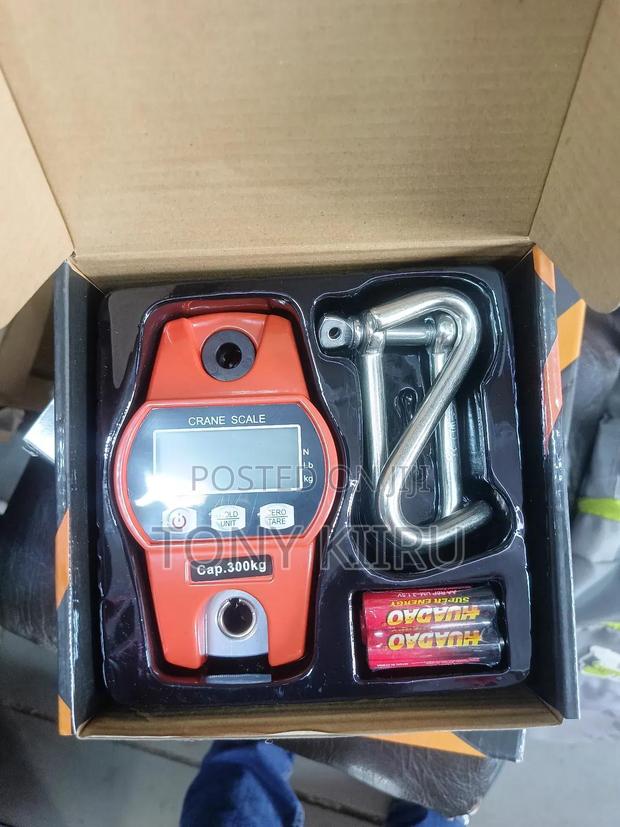 300 KGS Crane Scale - main view