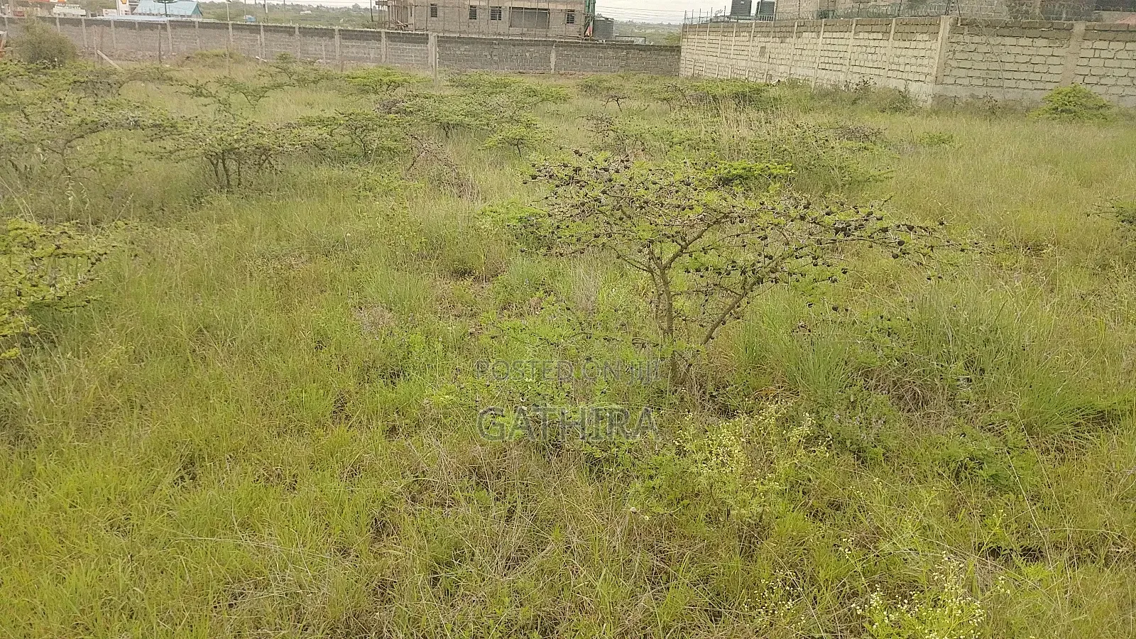 Land For Sale At Chuna Estate Kitengela