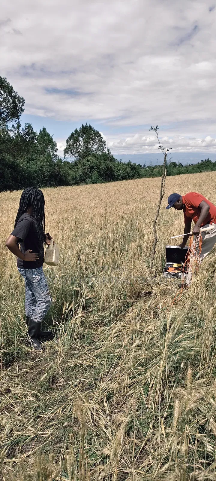 Borehole Services