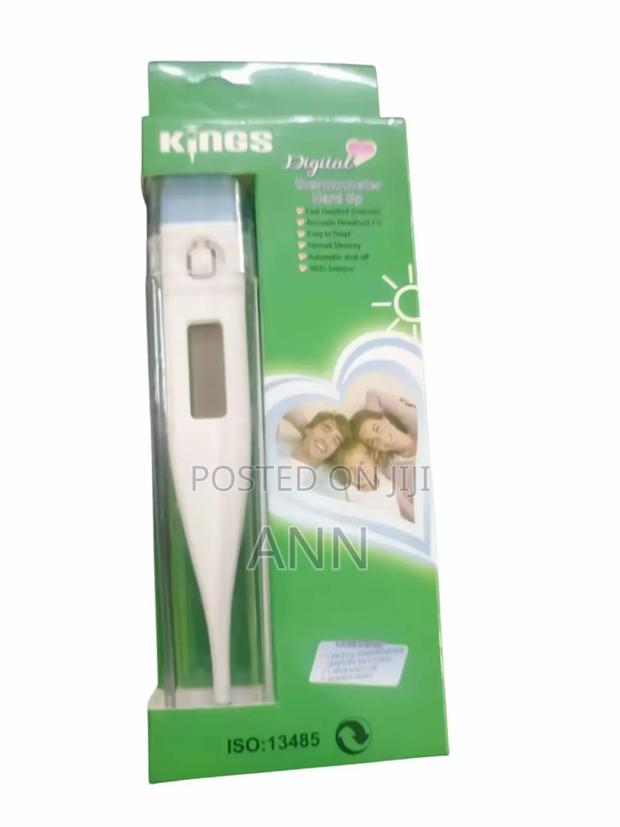 Digital Thermometer - main view