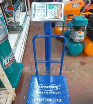 Schneeberg Platform Scales 500kg