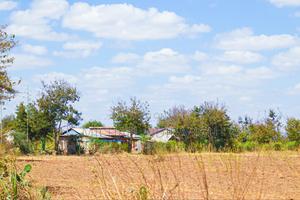 Matuu Plots - thumbnail 2