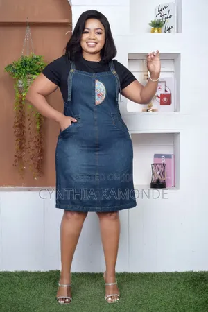 Classic Denim Dress