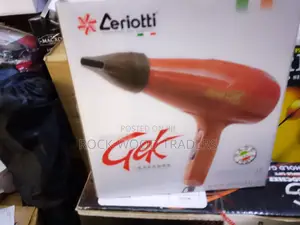 Professional Hair Dryer