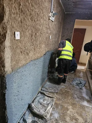 Walls Dampness Treatment