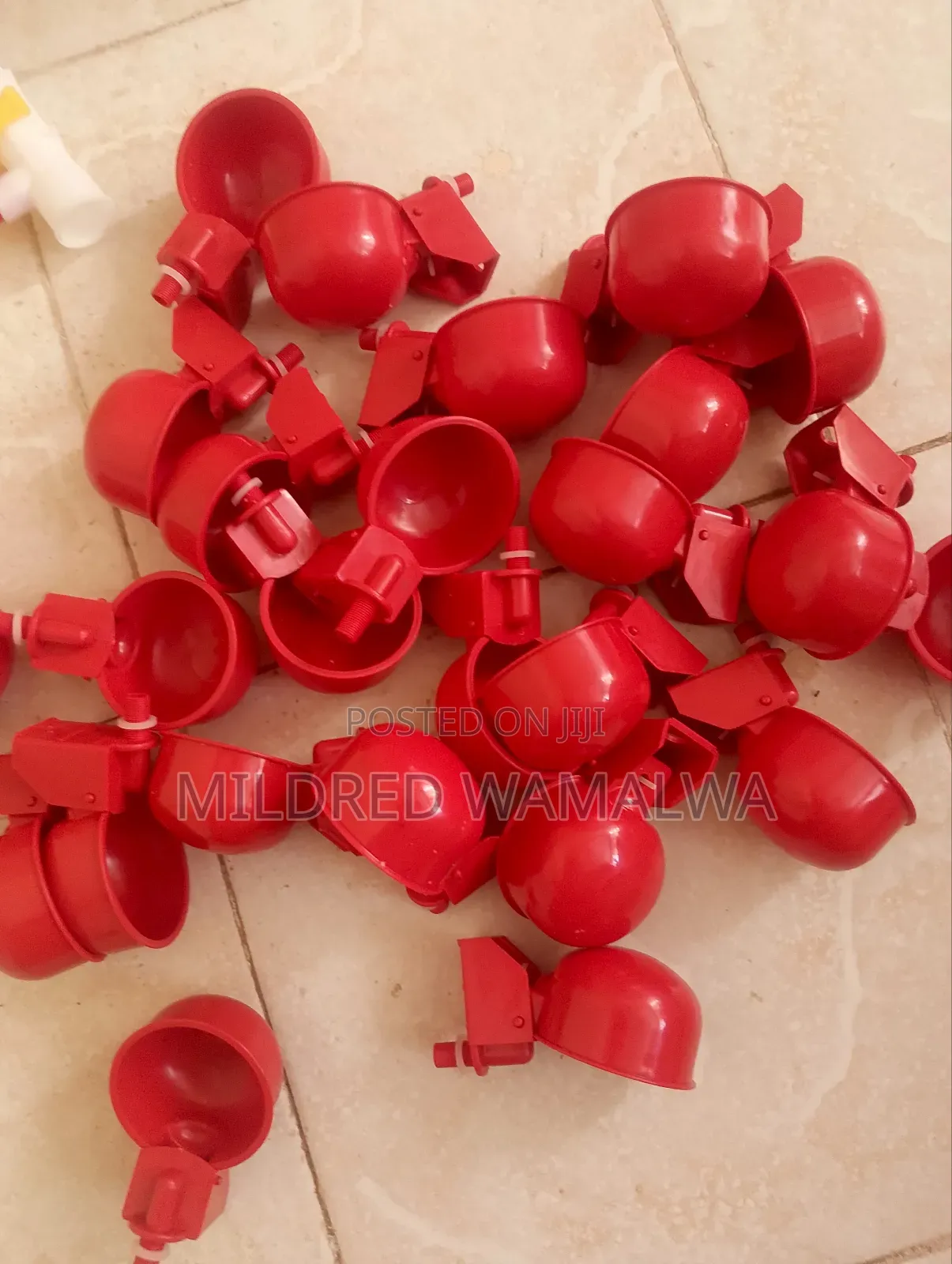 Chicken Automatic Cups