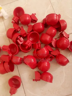 Chicken Automatic Cups