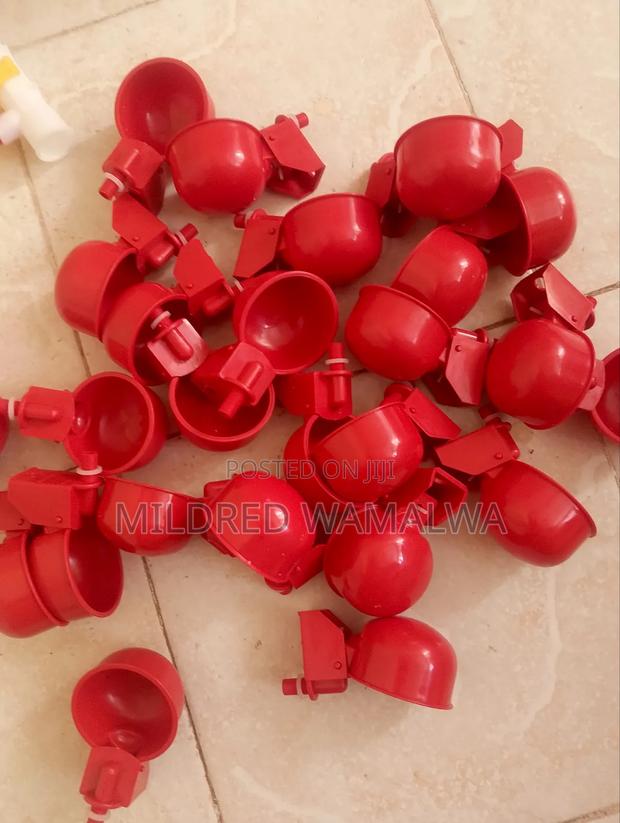 Chicken Automatic Cups